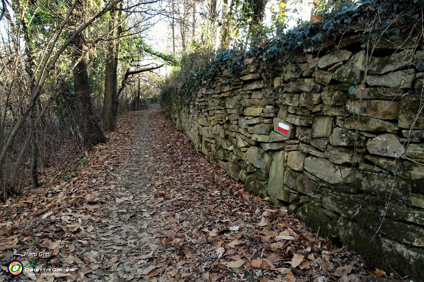 43 Costeggiando un muro a secco di cinta.JPG